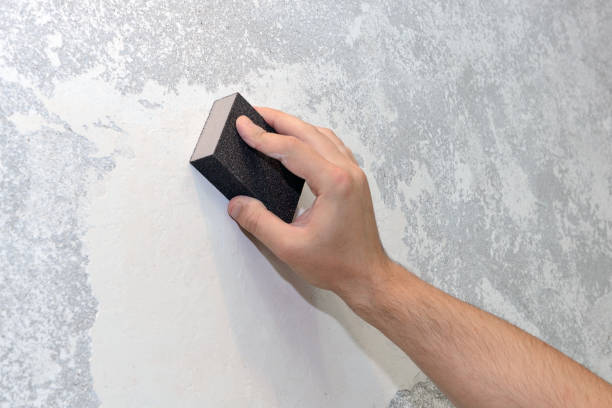 Best Water Damage & Mold Remediation  in Iola, KS
