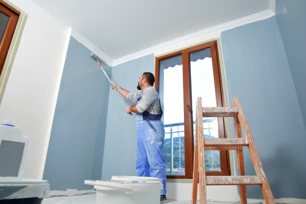 Best Environmental Consulting for Mold Prevention  in Iola, KS