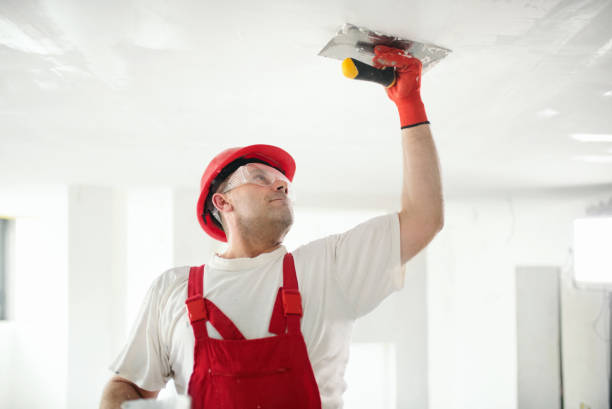 Best Post-Remediation Verification Testing  in Iola, KS