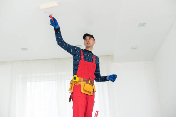 Trusted Iola, KS Mold Removal Experts