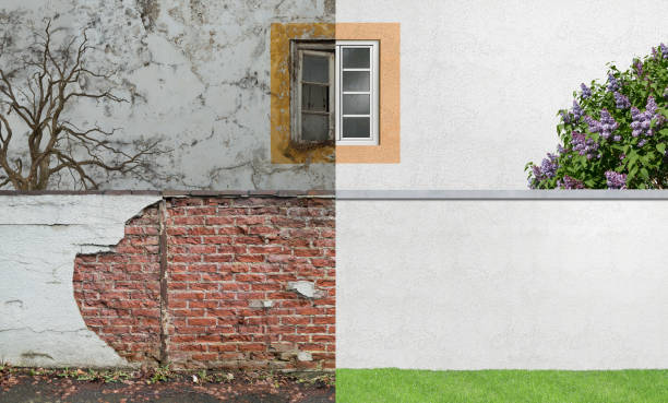  Iola, KS Mold Removal Pros