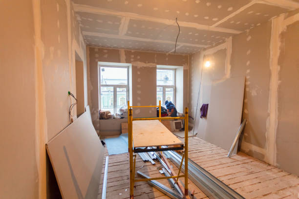 Best Forensic Mold Investigation  in Iola, KS