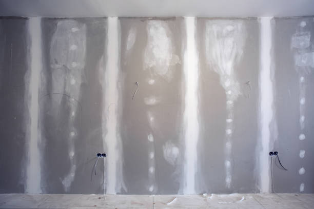 Best Basement Mold Removal  in Iola, KS